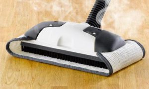 Eureka Enviro Hard-Surface Floor Steamer, 313A