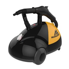 Hottest Steam Cleaner