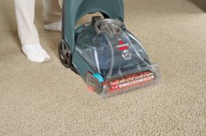 Best Carpet Cleaner for the Money3