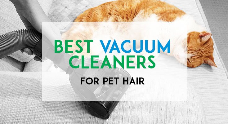 Best Pet Hair Vacuums Featured Image